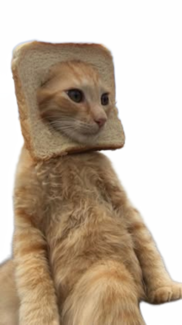 cat in bread sitting