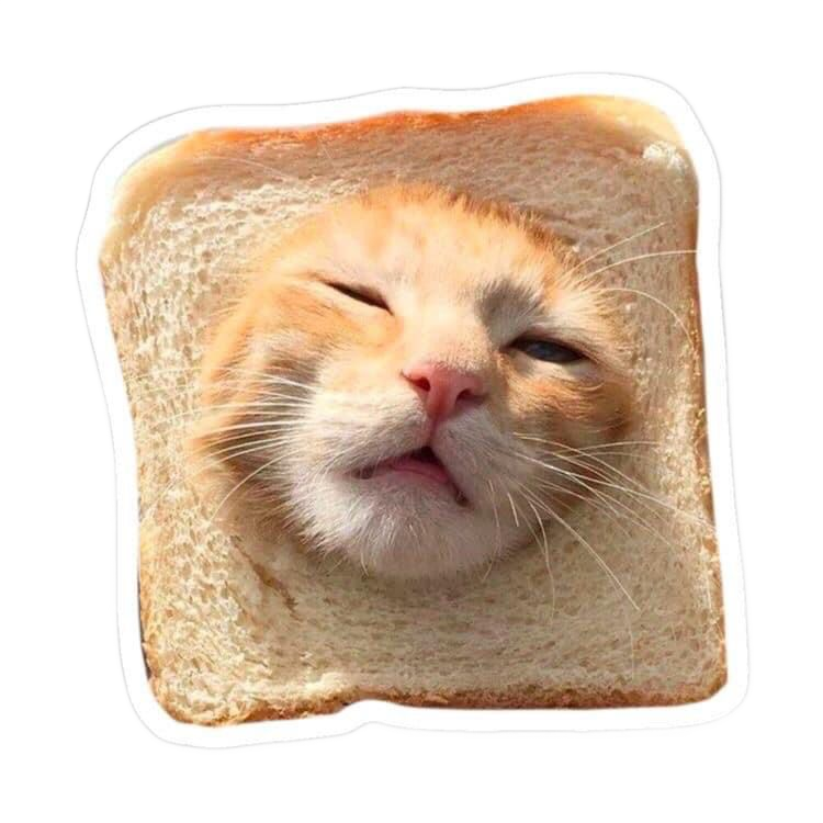 A sleepy orange cat with its face poking through a slice of bread